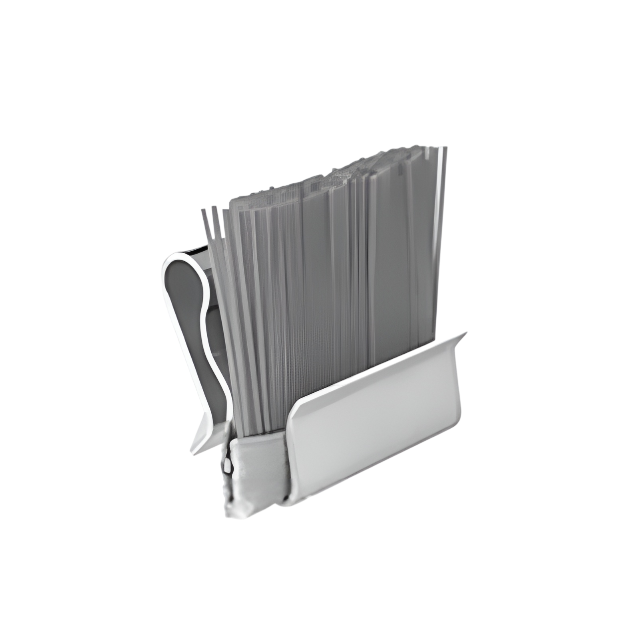 Bürstenclips